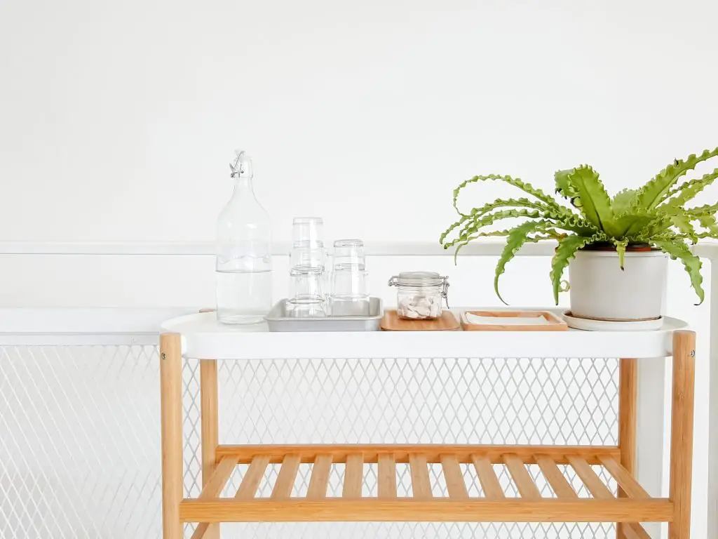 Bottle of water on wooden table in hotel white room. Green flower ficus. Home crafts.