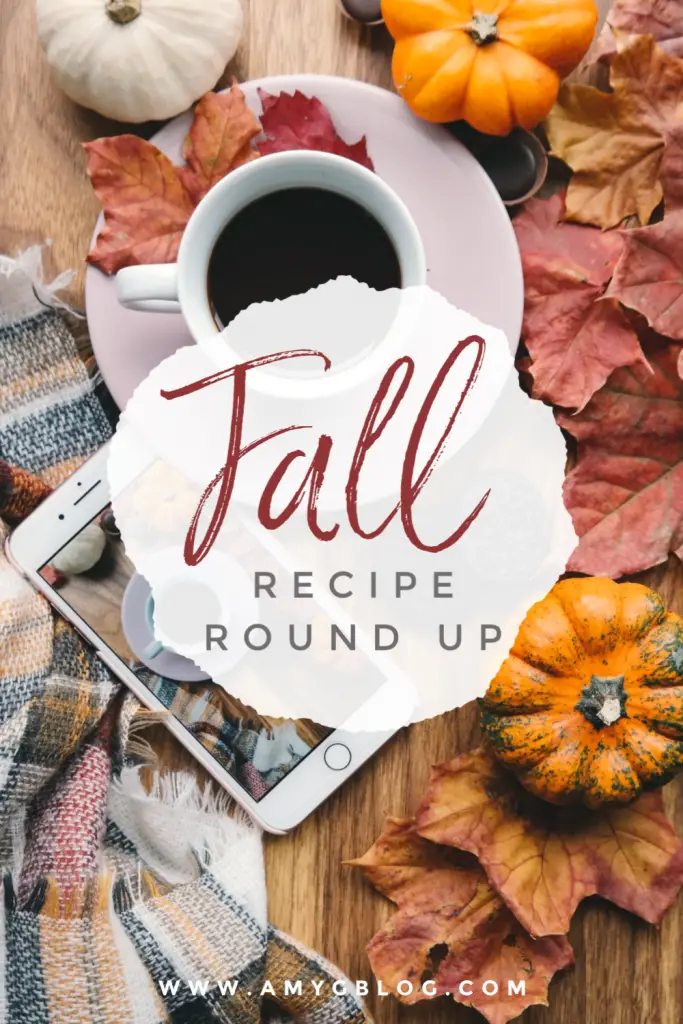 Fall recipe round up from sweet treats to savory dinners. You know you want to satisfy those fall flavor cravings!