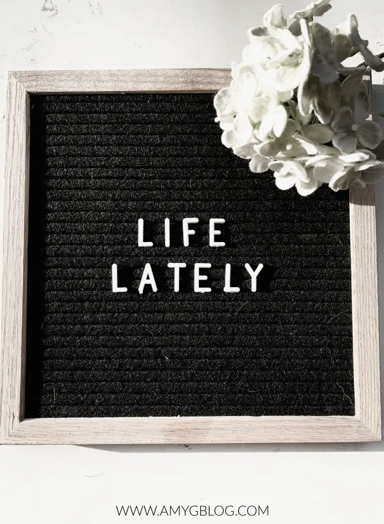 Life Lately Letterboard