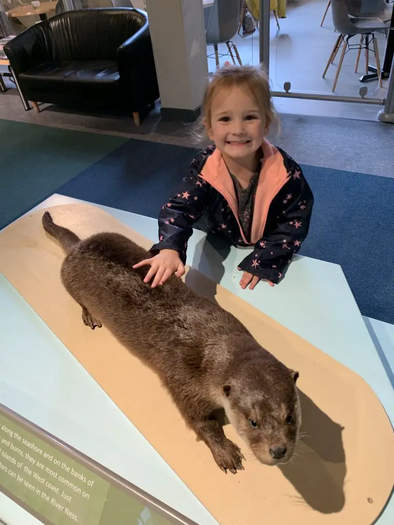Inverness Museum and Art Gallery was a great place to visit with kids! There is a ton to see along with many interactive activities to do with kids!